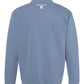 Vermont State Catholic Rosary custom sweatshirt, drop hoodie, comfort colors quarter zip, pullover, Gift, State Pride, blue jean-back